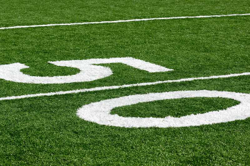 What the turf is expected to look like