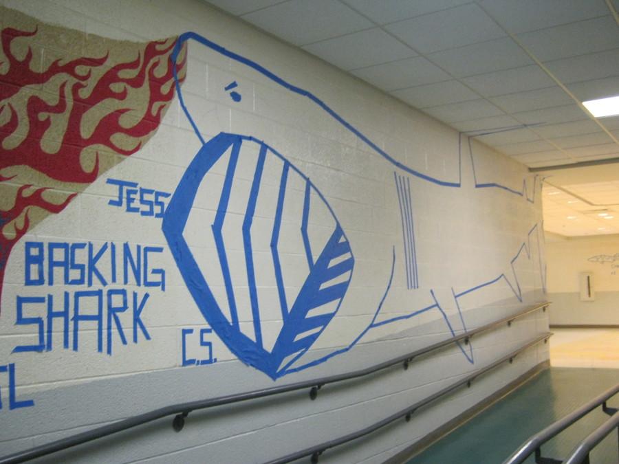 A shark gracing the wall near the cafeteria