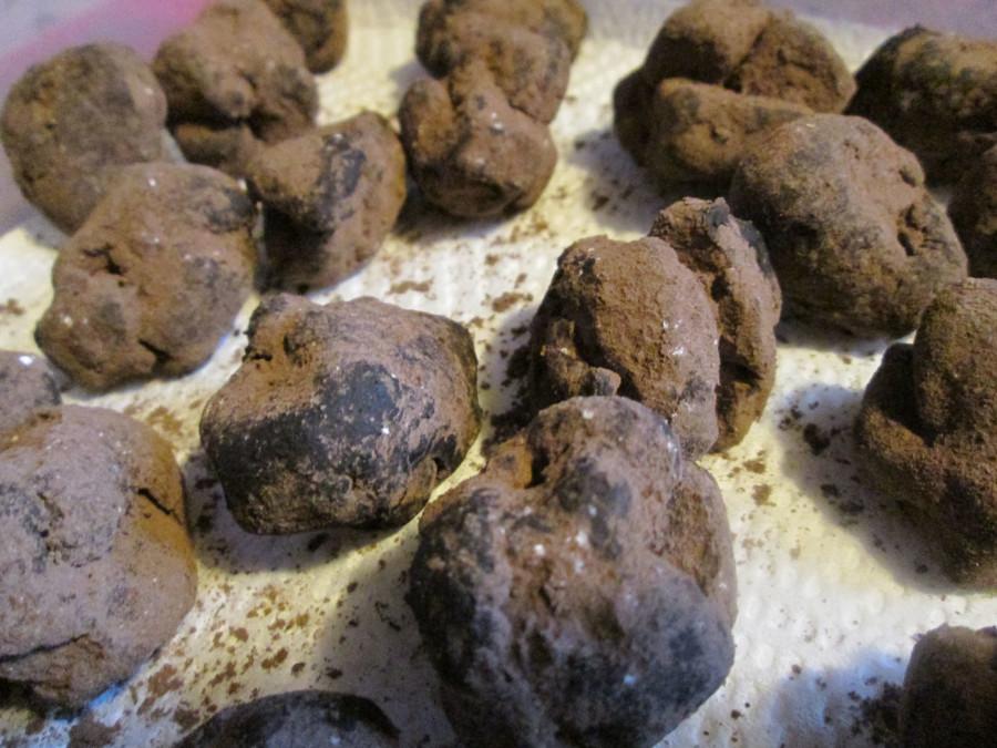 Chocolate truffles with cocoa powder