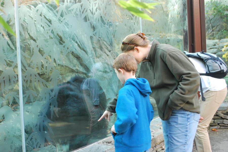 The Healy family observes some asian bears.