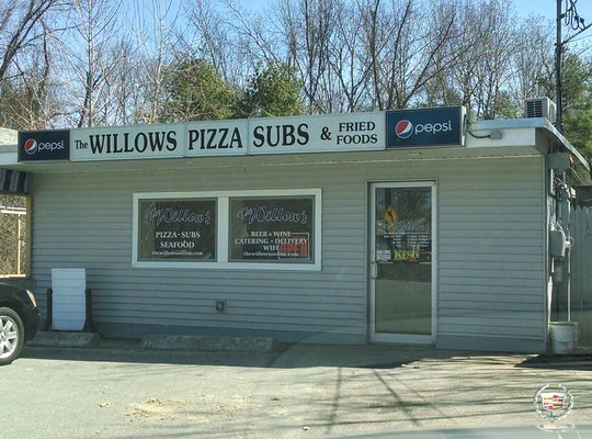 Willows exceeds expectations