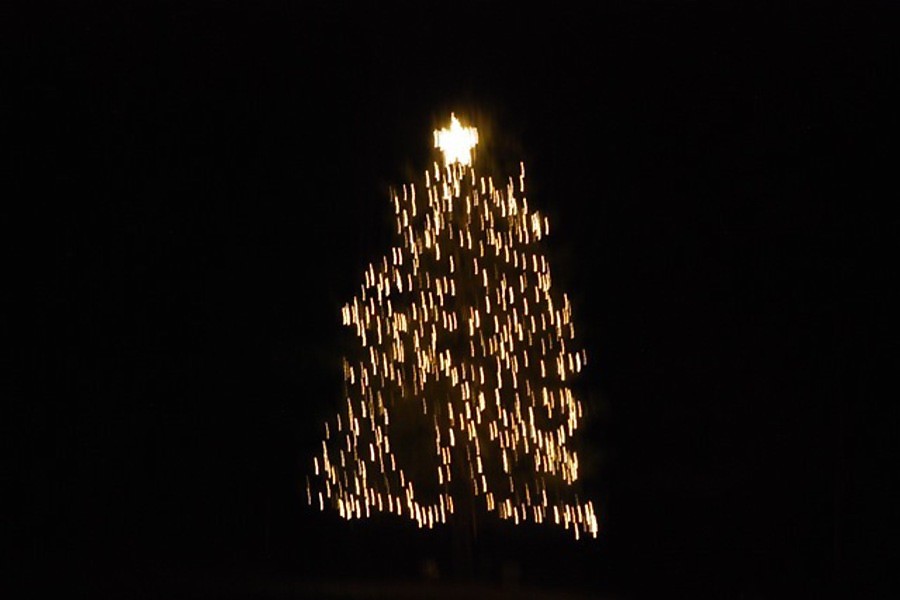A Christmas tree in a field off of Concord Road.