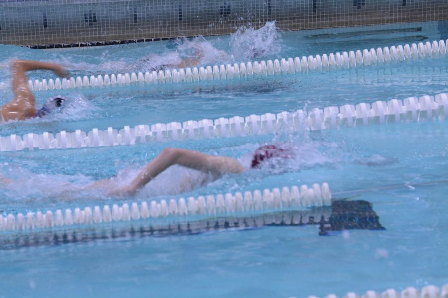 Kate Edison competes in the freestyle in a WA Swim Team Meet