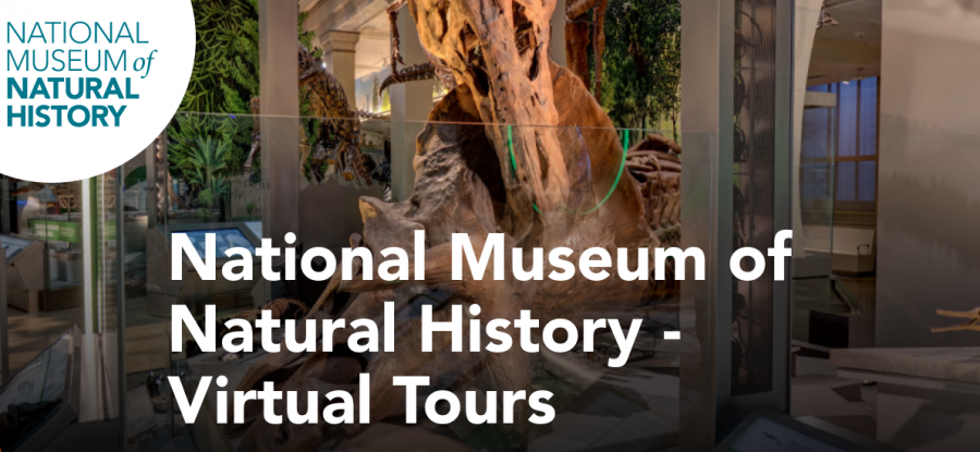 This is the website for the Virtual Tour, scrolling down will lead you links to guide you to different areas of the museum.