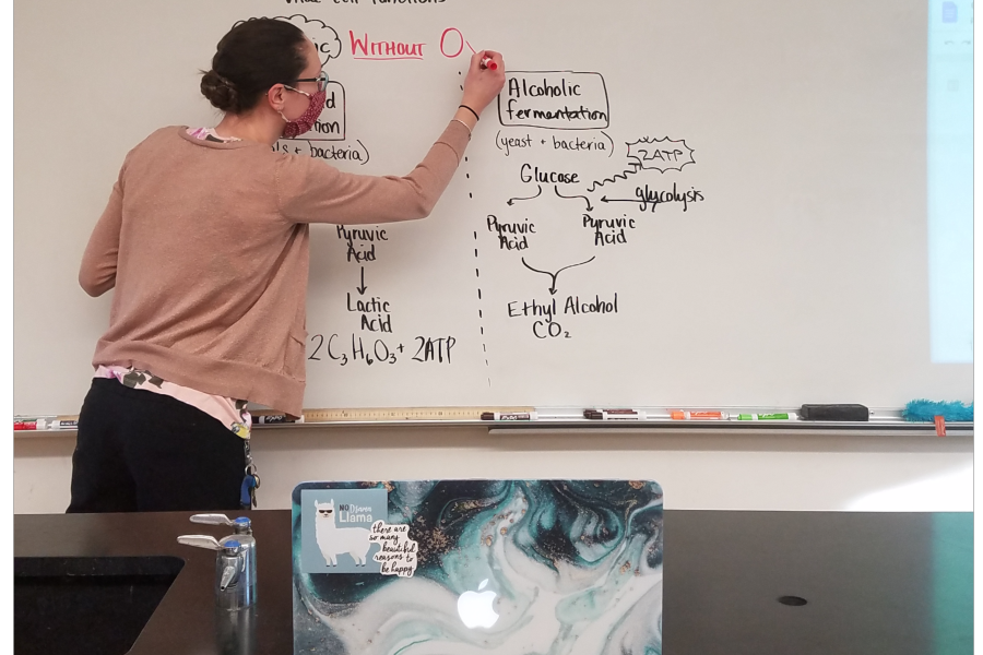 Science teacher Alexandra Wilson teaches a biology class with students streaming in from home facing the whiteboard.