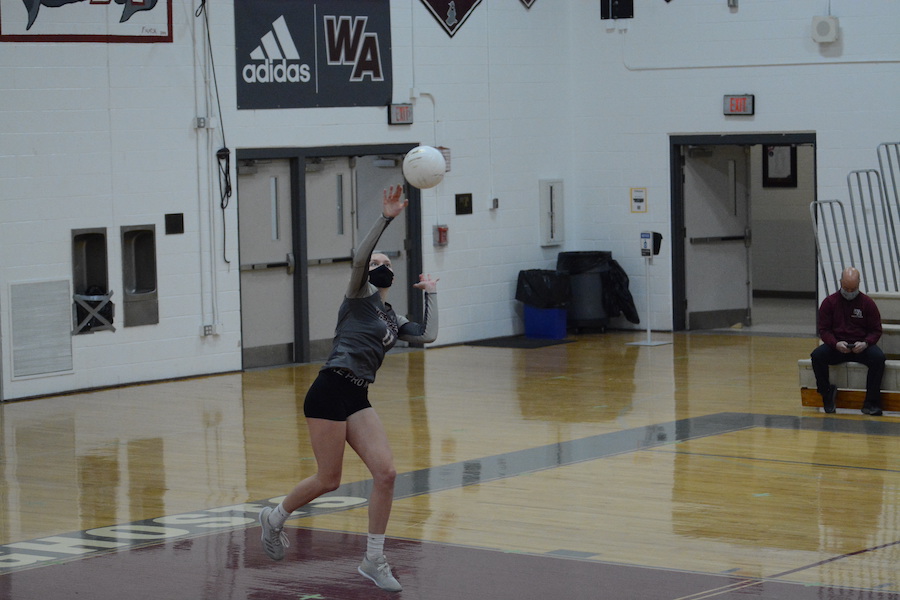 Tierney performs a jump serve over the net.