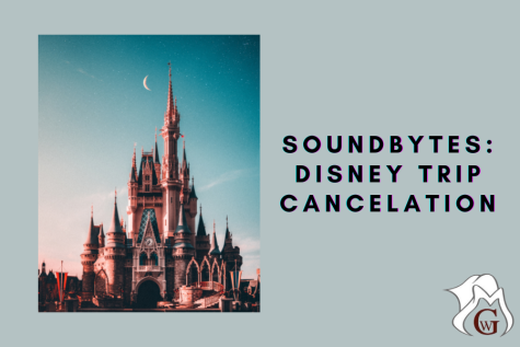 What are your opinions on the Disney trip cancelation?