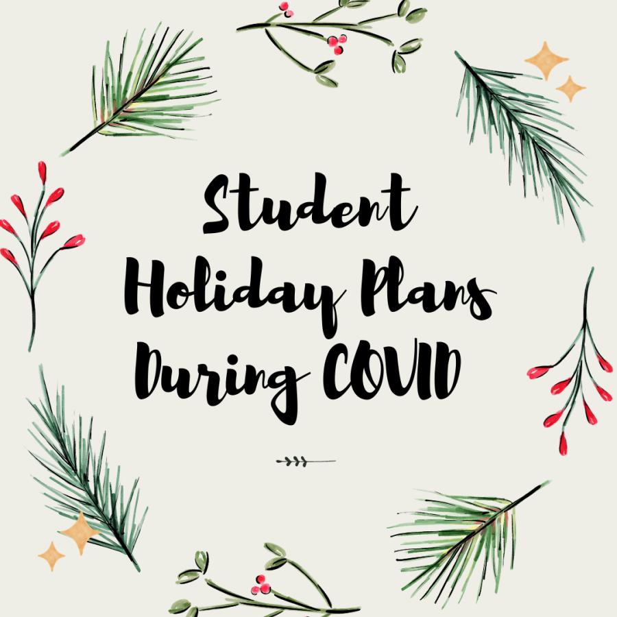 Students modify holiday plans amidst COVID