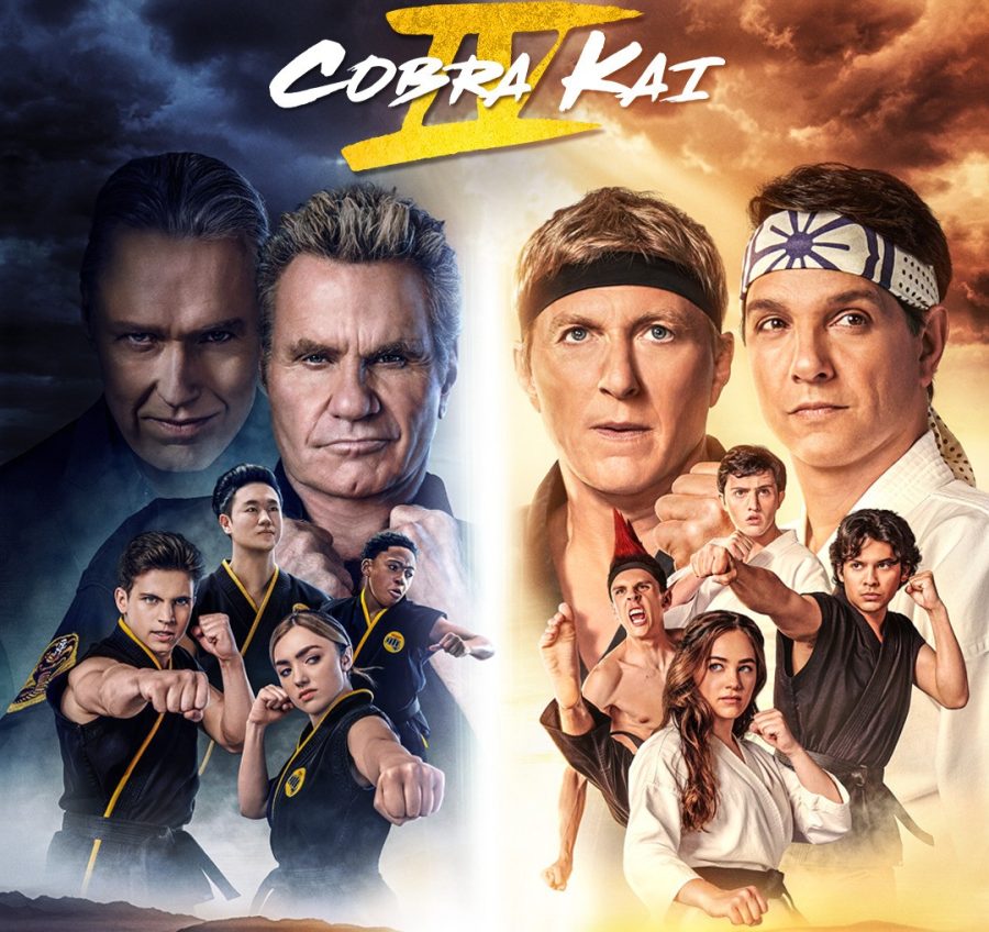 Initial Review: Cobra Kai. So I watched all of Cobra Kai last