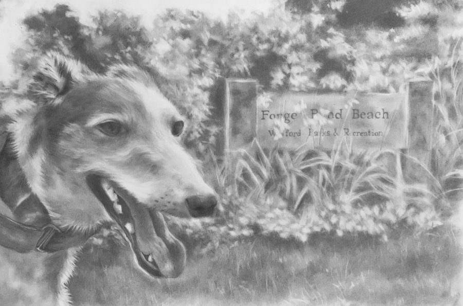 The 2023 June Calendar depicts a dog standing in front of the Forge Pond Beach sign.