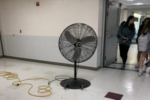 Fans were set up to make the smell more bearable on the first floor.