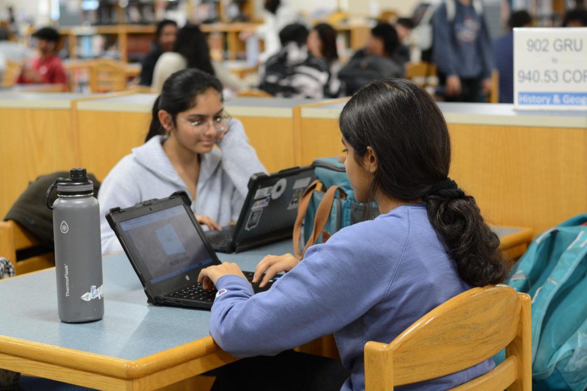 Students work in the library.