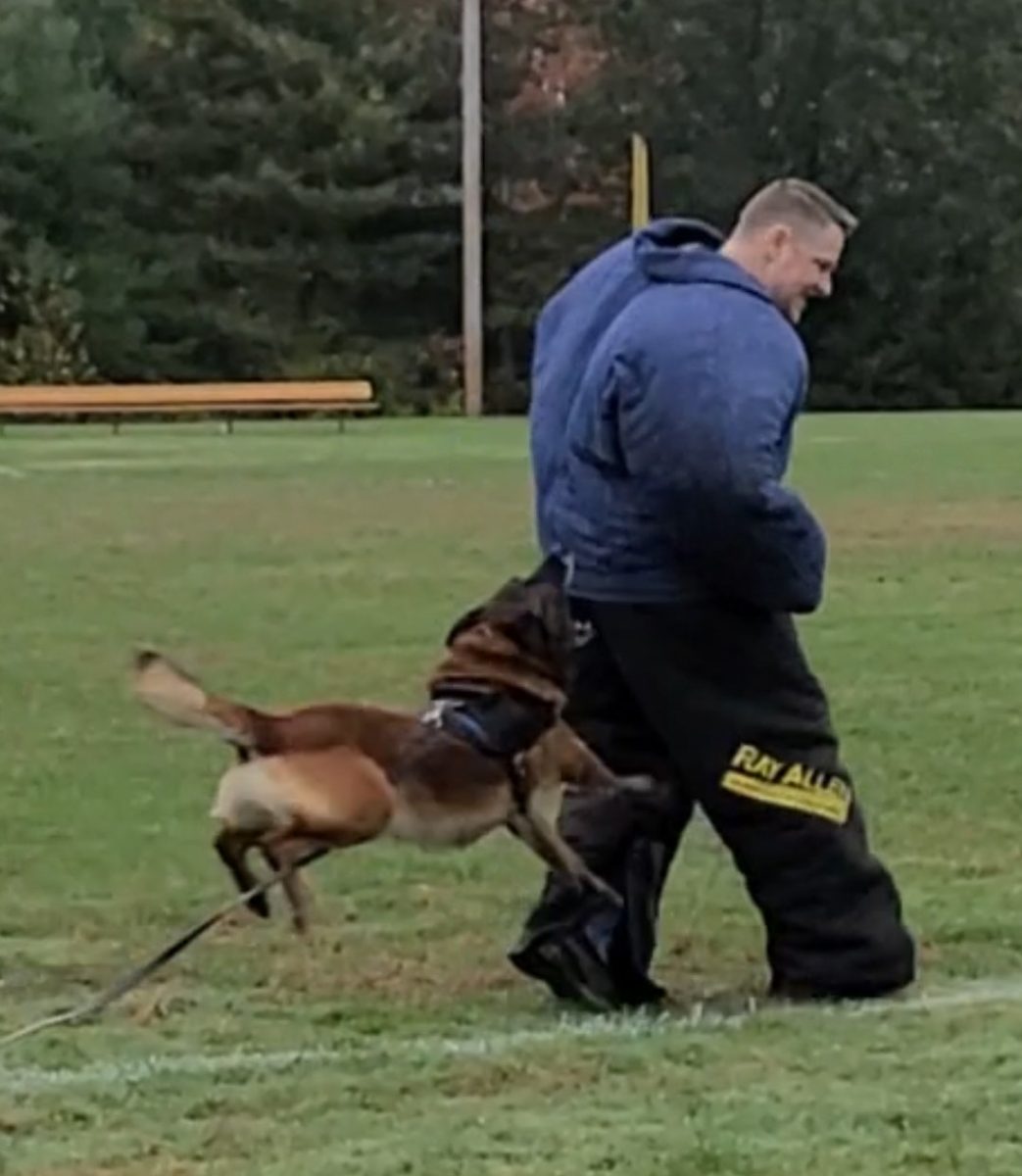 Martell gets attacked by a police dog as part of a demonstration for the Criminal Minds class.