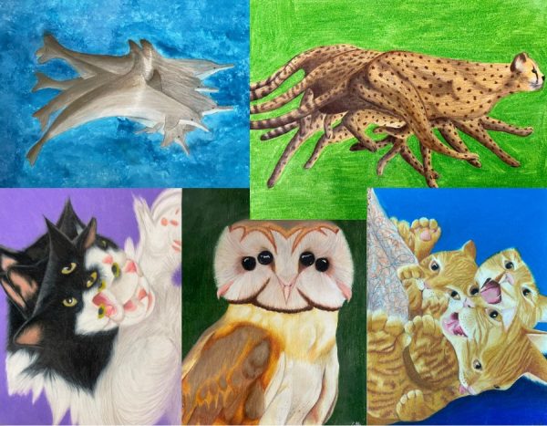 Art portfolio by senior Emily FitzPatrick, which received an honorable mention from the Scholastic Art Awards.