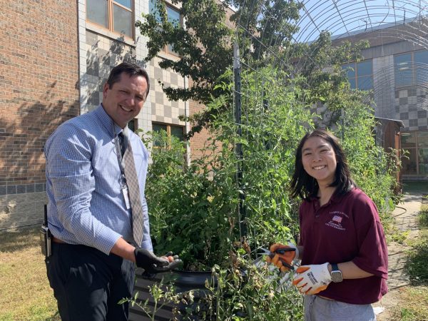 An image of Twomey and student volunteers Catherine Zhu picking produce from the garden after school.