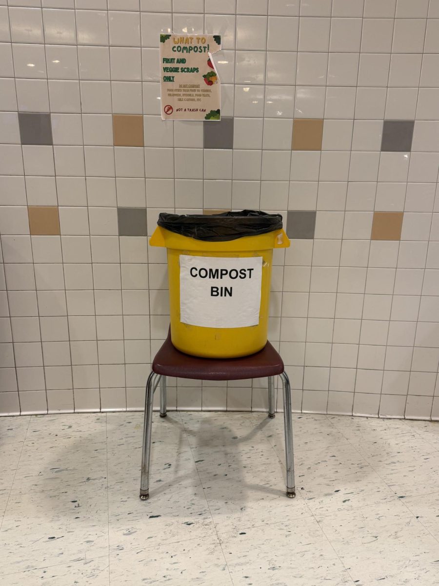 Composting Club's first and only composting bin so far, located in the Lower Cafeteria. 