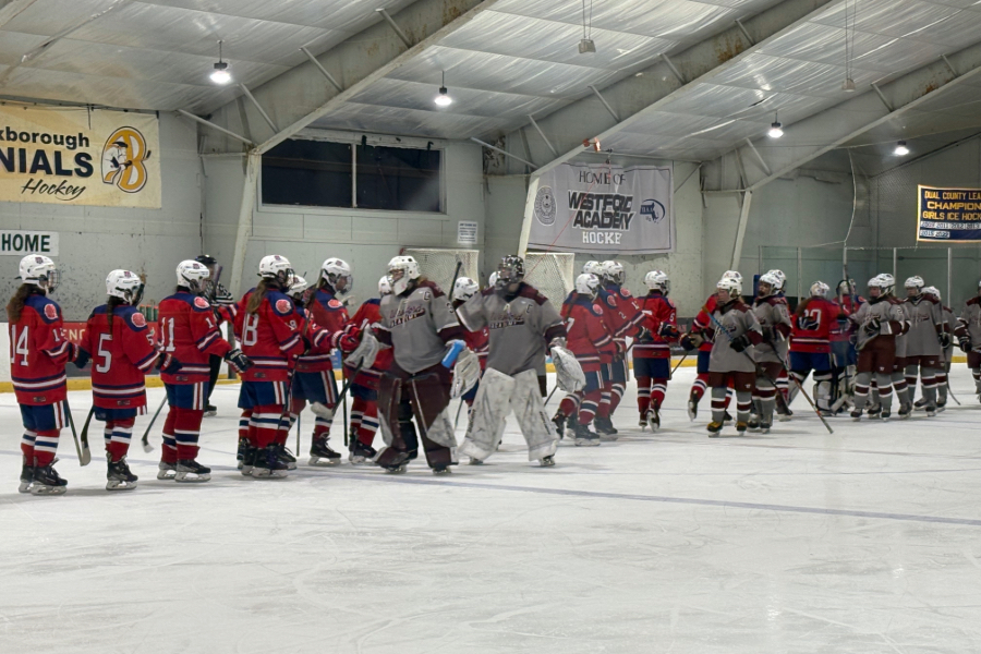 The teams line up to shake hands at the end of the game.