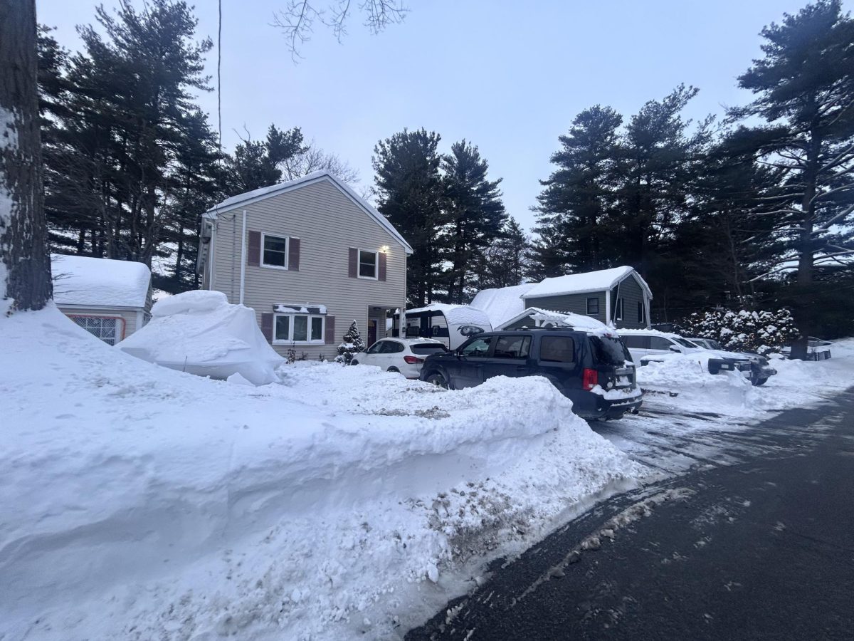 A house's yard blanketed in snow on  Tuesday, Jan. 27 afternoon.