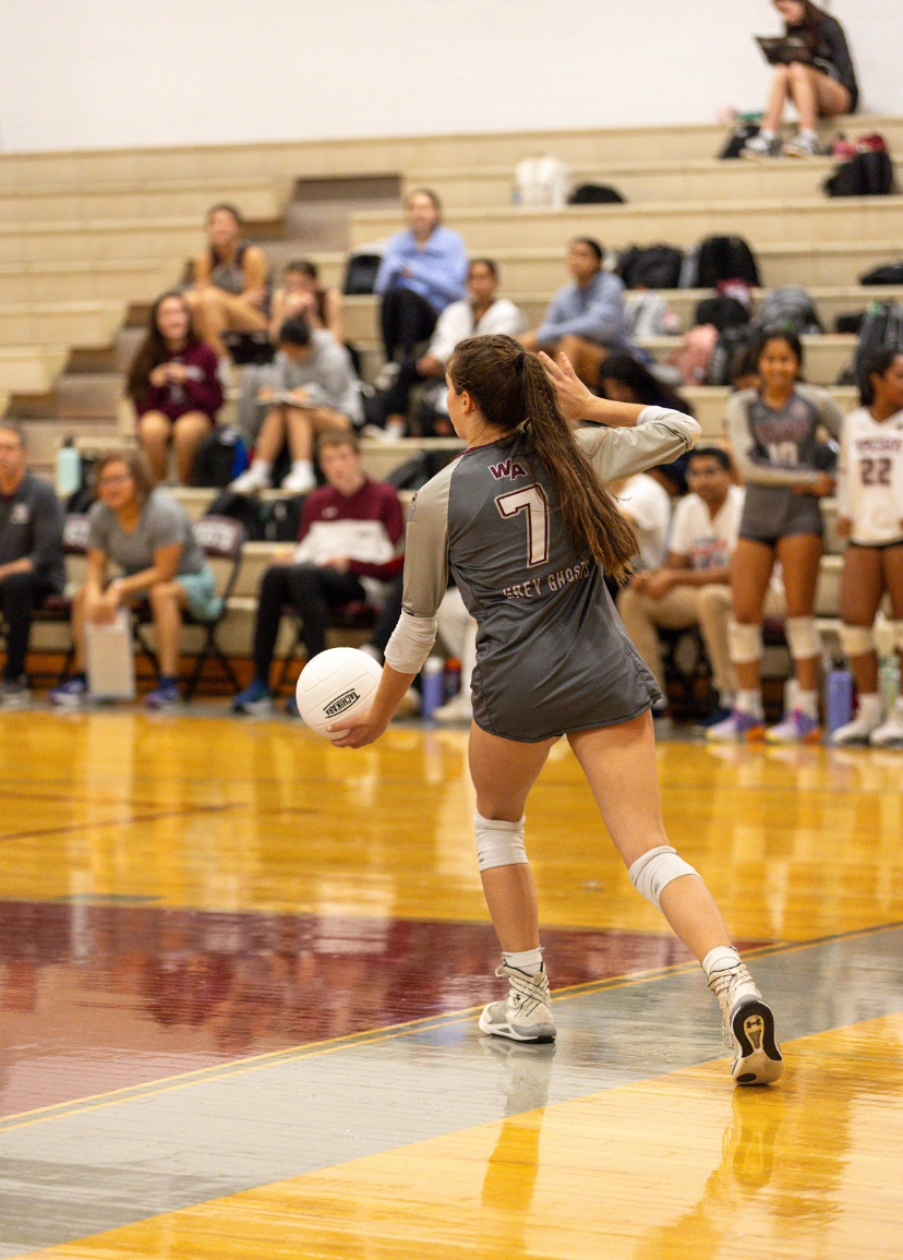 D'Eon in position to serve the ball to begin the play. 