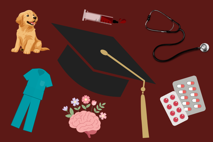 The pre-health field boasts a variety of different pre-professional tracks and related majors.