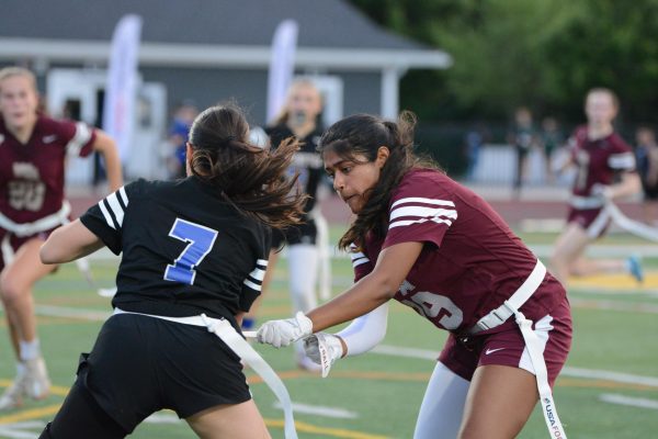 Photo of the Week